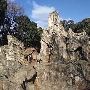 Japanese Macaque Rock