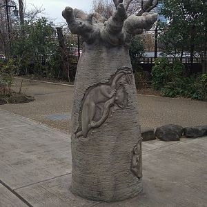 Ayeaye Baobab Theming