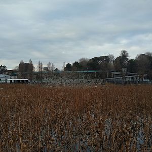 View Of The West Zoo Across The Pond