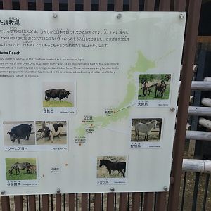 Japanese Domestics Signage