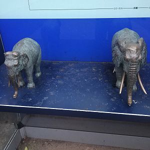 Elephant Sculptures