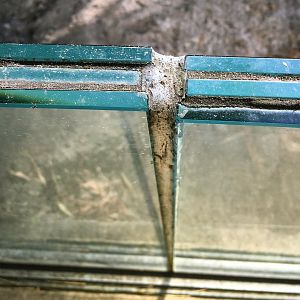 North Sulawesi Babirusa Exhibit Glass Thickness