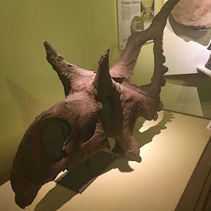 Diabloceratops