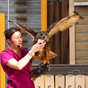 Campground Critters King Receiving Treat
