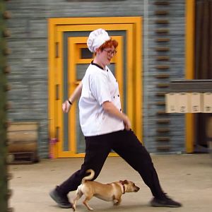 Campground Critters Weaving Dog