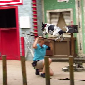 Campground Critters Riggs Jumping