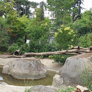 Wolverine enclosure