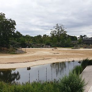 Sahel-Sudan Savannah