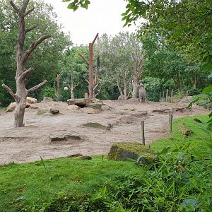 Part outdoor enclosure Asian elephants