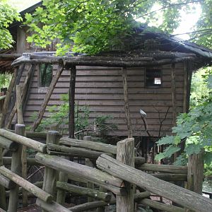 Malayan long-house with aviary