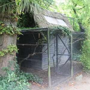 Squirrel - Parakeet enclosures