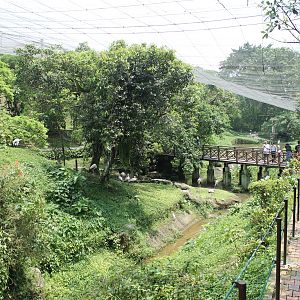 Interior of main walk-through aviary