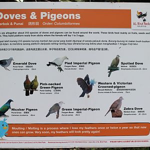 Signage example in main walk-through aviary