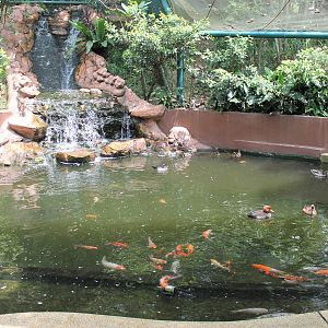Interior of Bulbul Land walk-through aviary