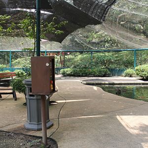 Interior of Bulbul Land walk-through aviary
