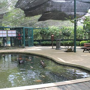 Interior of Bulbul Land walk-through aviary