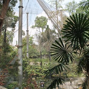 Exterior of the Waterfall Aviary, showing the height