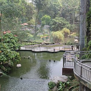 Interior of the Waterfall Aviary