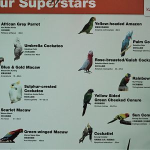 parrot signage for photo stage