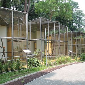 Oriental Bird Aviaries row