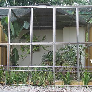 Oriental Bird Aviary
