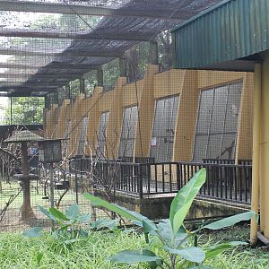World of Parrots aviary