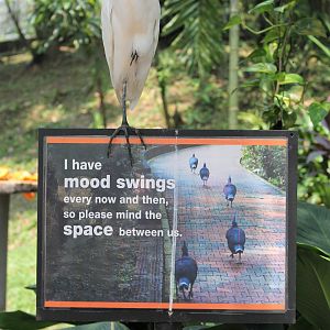 signage in the main walk-through aviary