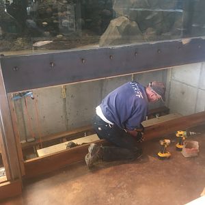 Banks of the Yellowstone construction