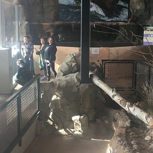 Banks of the Yellowstone construction