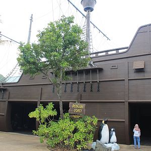exterior of subantarctic penguin house