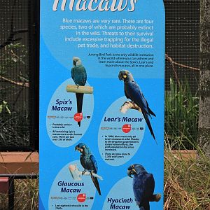 signage about the blue macaws