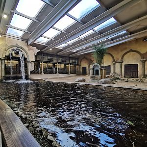 Elephant indoors - Tierpark Hagenbeck