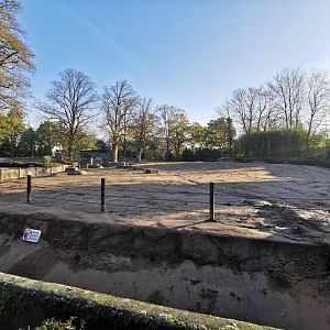 Elephant outdoors - Tierpark Hagenbeck