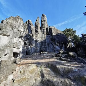 Barbary mountain - Tierpark Hagenbeck