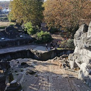 Barbary mountain - Tierpark Hagenbeck