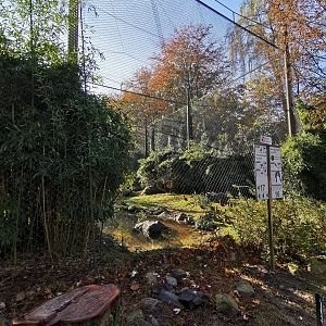 Macaw outdoor aviary - Tierpark Hagenbeck