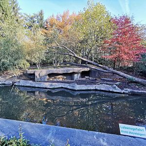 Tiger exhibit - Tierpark Hagenbeck