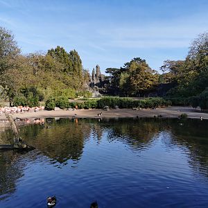 African panorama - Tierpark Hagenbeck