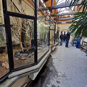 Inside the Bird house - Tierpark Hagenbeck