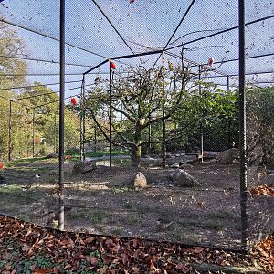 South American aviary - Tierpark Hagenbeck