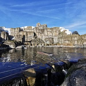 Eismeer - Tierpark Hagenbeck