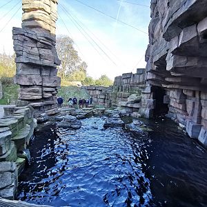 Seabird Walk-through aviary, Eismeer - Tierpark Hagenbeck