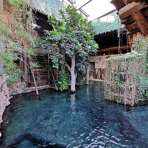 Crocodile exhibit - Tropen-Aquarium