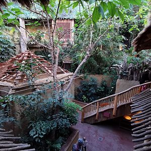 Inside the Tropen-Aquarium