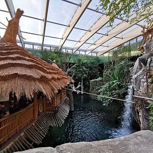 Crocodile exhibit - Tropen-Aquarium