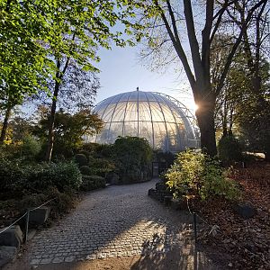 Orangutan dome outside - Tierpark Hagenbeck