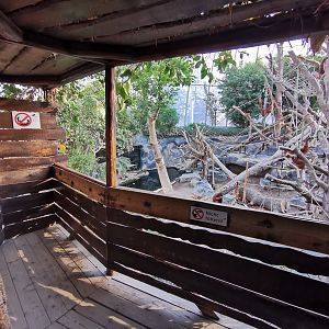 Orangutan dome viewing platform - Tierpark Hagenbeck