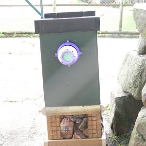 Mishmi takin enclosure, November 2019