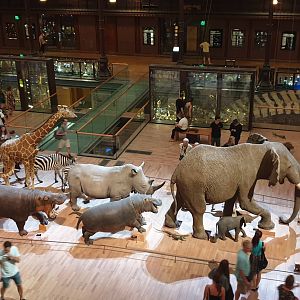 Grand Galerie de L'Evolution