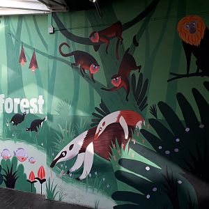 Clore Rainforest entrance artwork 10 November 2019